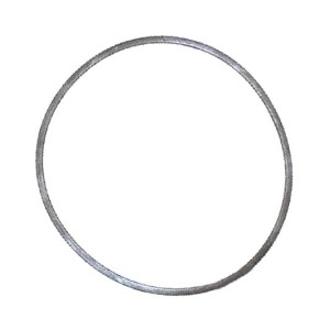 289506R1 Oring CASE