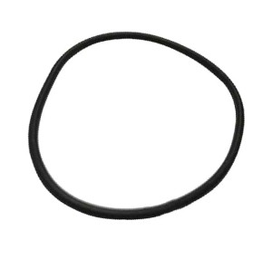 2.1539.173.0 Oring SAME