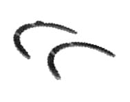 af8b892a85e9679b2a1eda700741b379