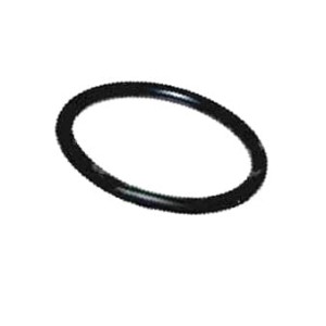 6005010286 Oring FENDT