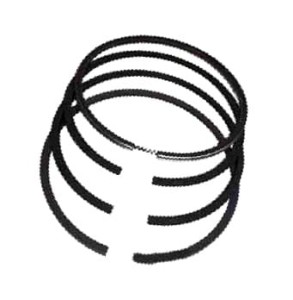 F024200410390 Pierścienie standard FENDT