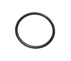 F119200090180 Oring FENDT