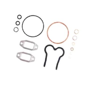 38006419 Zestaw Uszczelek Głowicy FENDT