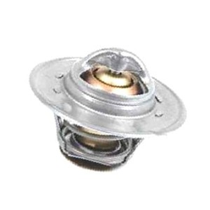 3042303R92 Termostat Landini