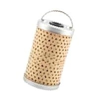 3056982R1 Filtr paliwa Landini