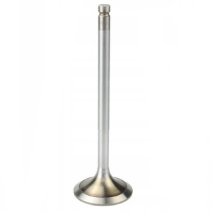 745369M1 Zawór wydechowy Landini