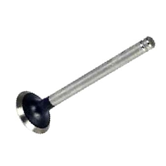 925c3f752d94492cb2872dd182456d5f