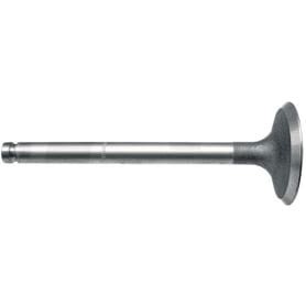 735820M1 Zawór ssący Landini