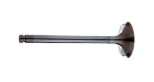 4222894M1 Zawór ssący Landini