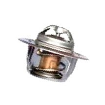 V836015156 Termostat Massey Ferguson