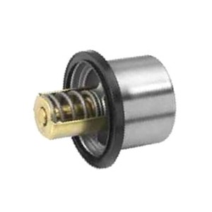 504096443 Termostat New Holland