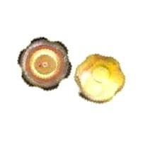 7920001773 Korek wlewu paliwa Renault