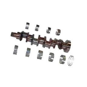 6005005039 Wał korbowy Renault