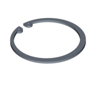 100-21325 Pierścień Case