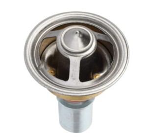 3907475M91 Zawór zwrotny Massey Ferguson