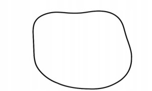 238-5277 Oring tłoka hamulcowego Case Massey Ferguson