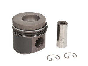 F199201310030 Tłok Standard Z Pierścieniami Fendt
