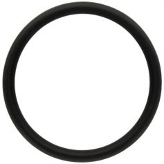 F716300020020 Oring Fendt