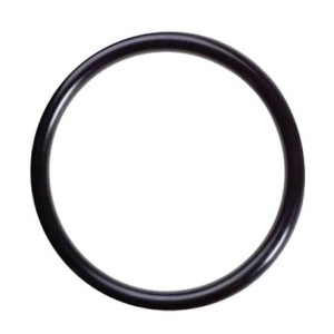 1000578M1 Oring McCormick Landini