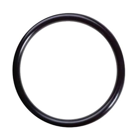 1000578M1 Oring McCormick Landini