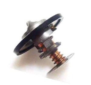 J912587 Termostat CASE