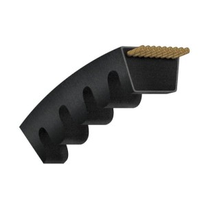 897505H1 Pasek klinowy CASE