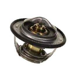 87803070 Termostat CASE