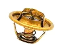 3118127R1 Termostat CASE