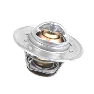 3042303R92 Termostat CASE