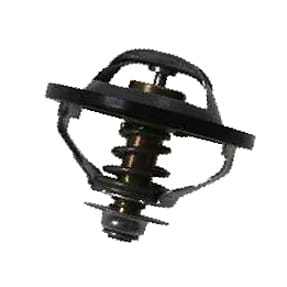 2853135 Termostat CASE