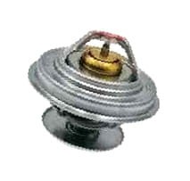 132000060709 Termostat CASE