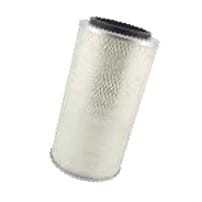 3146927R1  Filtr Powietrza CASE