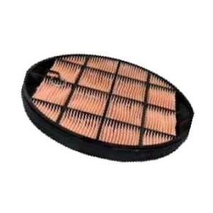 P631511 Filtr Powietrza CASE