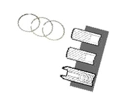 3218920R91 Pierścienie NPR STD CASE