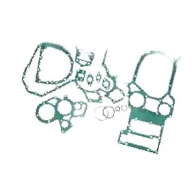 315989A1 Komplet uszczelek bloku CASE