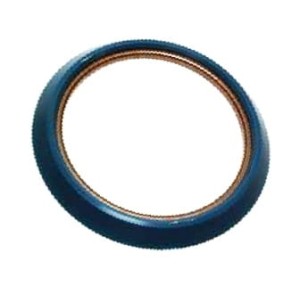 5197676 Uszczelnienie CASE