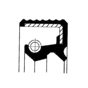 12012007B Uszczelniacz CASE